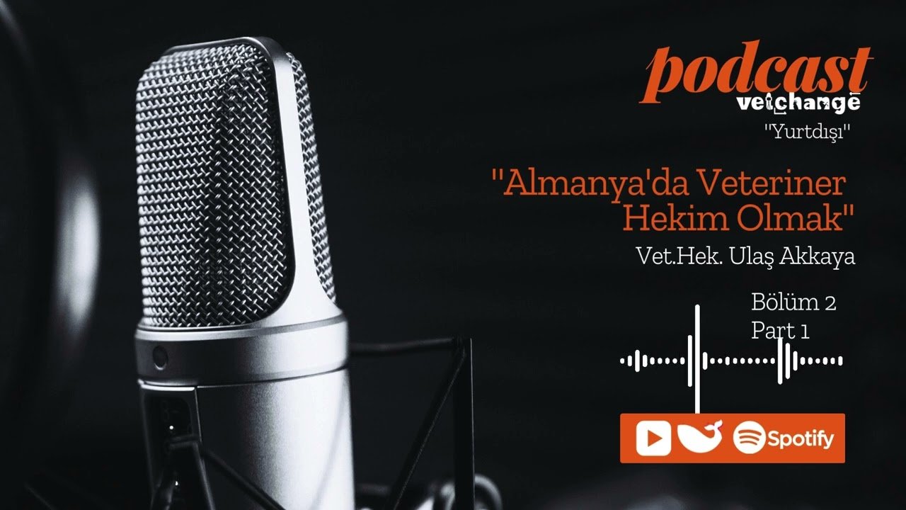 Almanya'da Veteriner Hekim Olmak Vet. Hek. Ulaş Akkaya Bölüm 2 Part 1